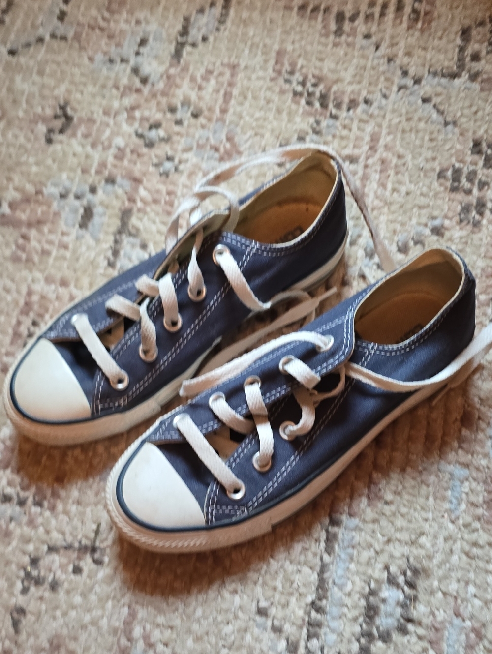 Converse Dark Blue Low-Top Canvas Sneakers with White Trim